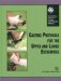 Casting Protocols for the Upper and Lower Extremities cover