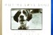 Why We Love Dogs : A Bark & Smile Book cover