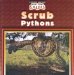 Scrub Pythons cover