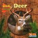 Deer cover