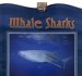 Whale Sharks cover