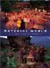 Material World : A Global Family Portrait cover