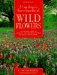 A Gardener's Encyclopedia of Wildflowers : An Organic Guide to Choosing and Growing over 150 Beautiful Wildflowers cover