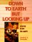 Down to Earth but Looking Up : Stories to Lift the Spirit cover