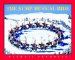 The RCMP Musical Ride cover