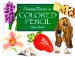 Creating Textures in Colored Pencil cover