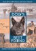 Dog's Best Friend : Journey to the Roots of an Ancient Partnership cover