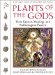 Plants of the Gods : Their Sacred, Healing and Hallucinogenic Powers cover