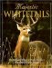 Majestic Whitetails cover