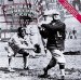 Baseball's Hometown Teams : The Story of the Minor Leagues cover