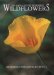 100 Napa County Roadside Wildflowers cover
