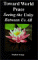 Toward World Peace : Seeing the Unity Between Us All cover