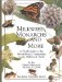 Milkweed Monarchs and More A Field Guide to the Invertebrate Community in a Milkweed Patch cover