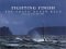Fighting Finish : The Volvo Ocean Race, Round the World 2001-2002 cover