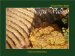 Napa Valley : A View from Above cover