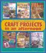 Encyclopedia of Craft Projects in an Afternoon cover