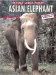Asian Elephant cover