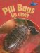 Pill Bugs Up Close cover
