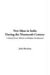 New Ideas in India During the Nineteenth Century cover
