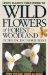 Wildflowers of Forest and Woodland in the Pacific Northwest cover