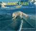 Arctic Foxes 2006 Calendar cover