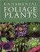 Ornamental Foliage Plants cover