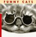Funny Cats cover