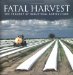 Fatal Harvest : The Tragedy of Industrial Agriculture cover