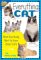 Everything Cat : What Kids Really Want To Know About Cats cover