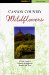 Canyon Country Wildflowers : A Field Guide to Common Wildflowers, Shrubs, and Trees cover