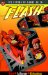 Flash : The Return of Barry Allen cover