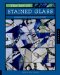The Art of Stained Glass : Designs from 21 Top Glass Artists cover