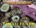 Tidal Flats cover