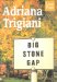 Big Stone Gap cover