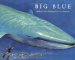 Big Blue cover