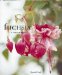 Fuchsia : A Care Manual cover