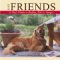 Just Friends : A Dog's Tribute to Buddies, Pals & Amigos cover