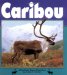 Caribou cover