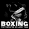 Boxing : Photographs by Larry Fink cover