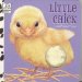 Little Chick : A Soft Spot Book cover