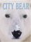 City Bear : animal story cover