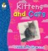 Kittens And Cats : A 