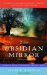 The Obsidian Mirror : Healing from Childhood Sexual Abuse cover