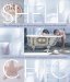 Shell Chic : The Ultimate Guide to Decorating Your Home With Seashells cover
