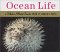 Ocean Life cover