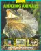 Amazing Animals cover