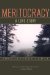 Meritocracy : A Love Story cover