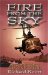 Fire From The Sky : Seawolf Gunships In The Mekong Delta cover