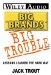 Big Brands Big Trouble : Lessons Learned the Hard Way cover