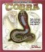 Uncover a Cobra : Take a three-dimensional look inside a king cobra! cover